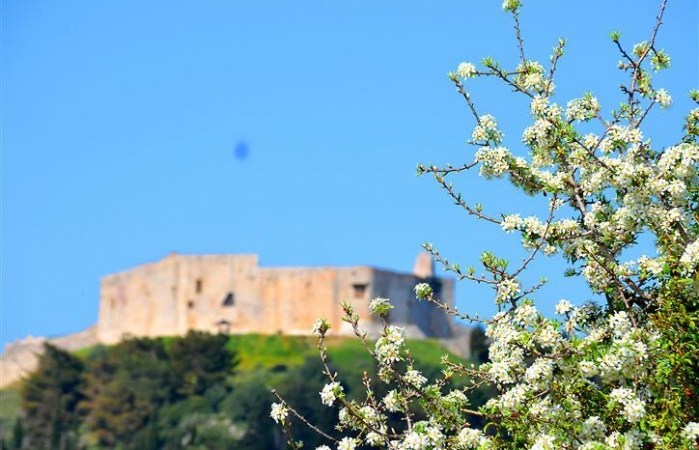 Χλεμούτσι 12